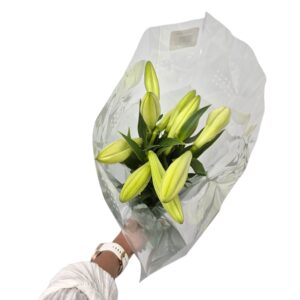 asiate lilly white